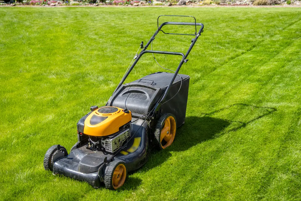 dewalt self-propelled lawn mower review