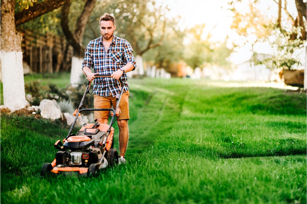 Best Self-propelled Lawn Mower