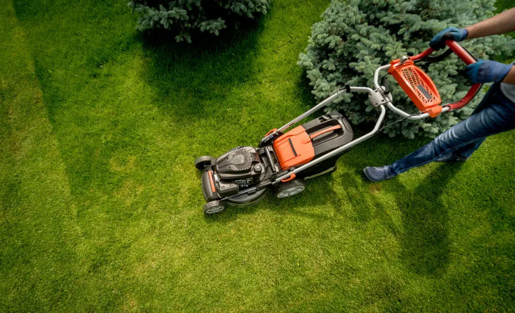 How to Mow a Lawn Professionally? | Grass Cutting Techniques