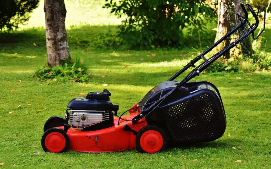 self-propelled lawn mower vs push lawn mower