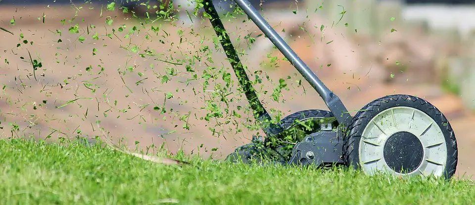 Lawn mowing bermuda grass