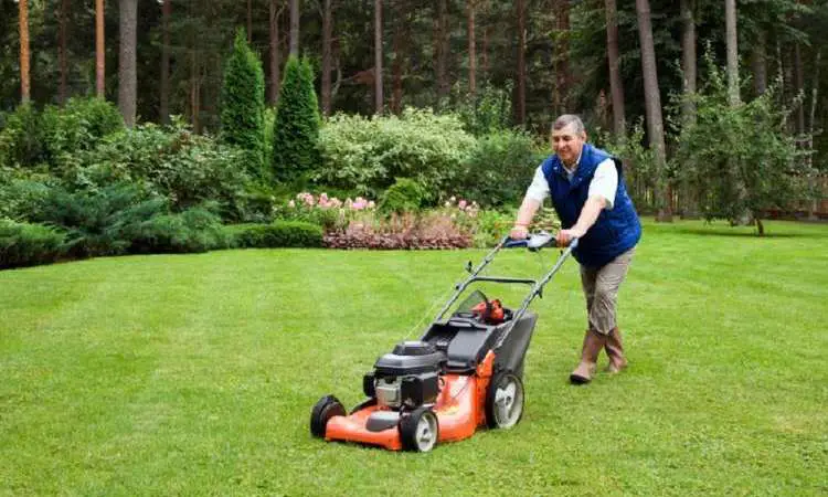 lawn mower for elderly
