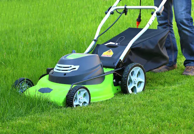 Pros Cons of Electric Lawn Mowers