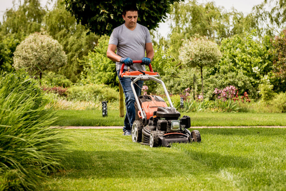 tips on how often should you mow your lawn