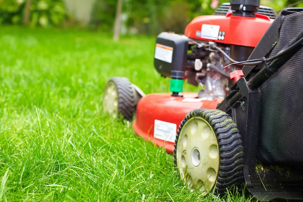 best time to mow lawn after winter