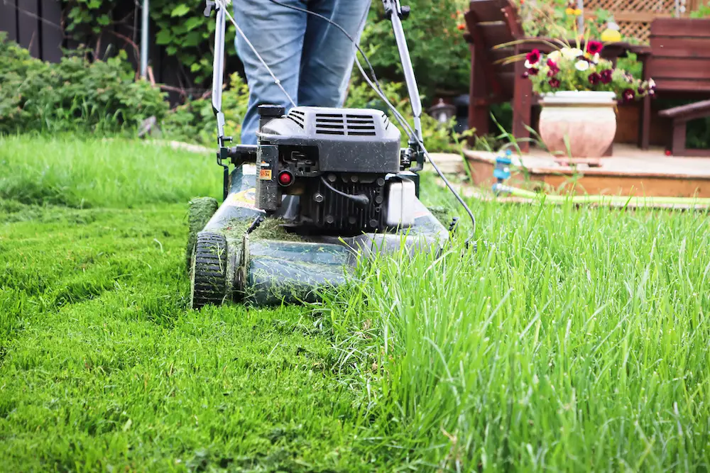 when is the best time to mow lawn after winter