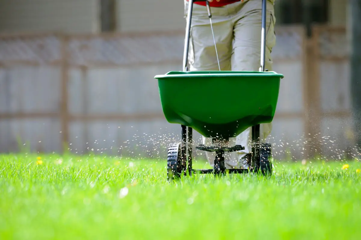How to Tell if Your Lawn Needs Lime