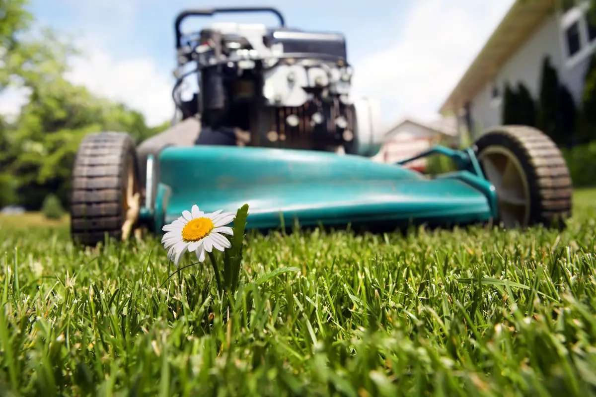 How To Jumpstart A Lawnmower