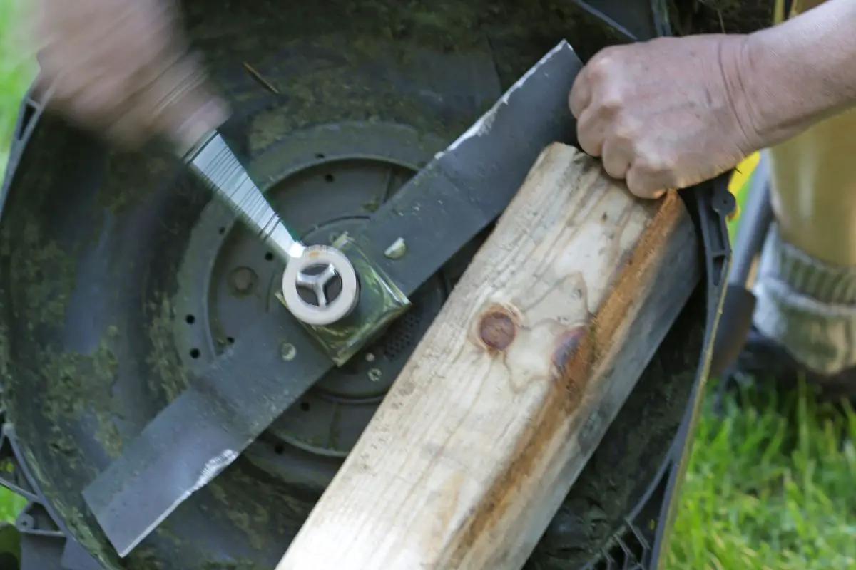 A Guide: Do Lawn Mower Blades Need To Be Timed?
