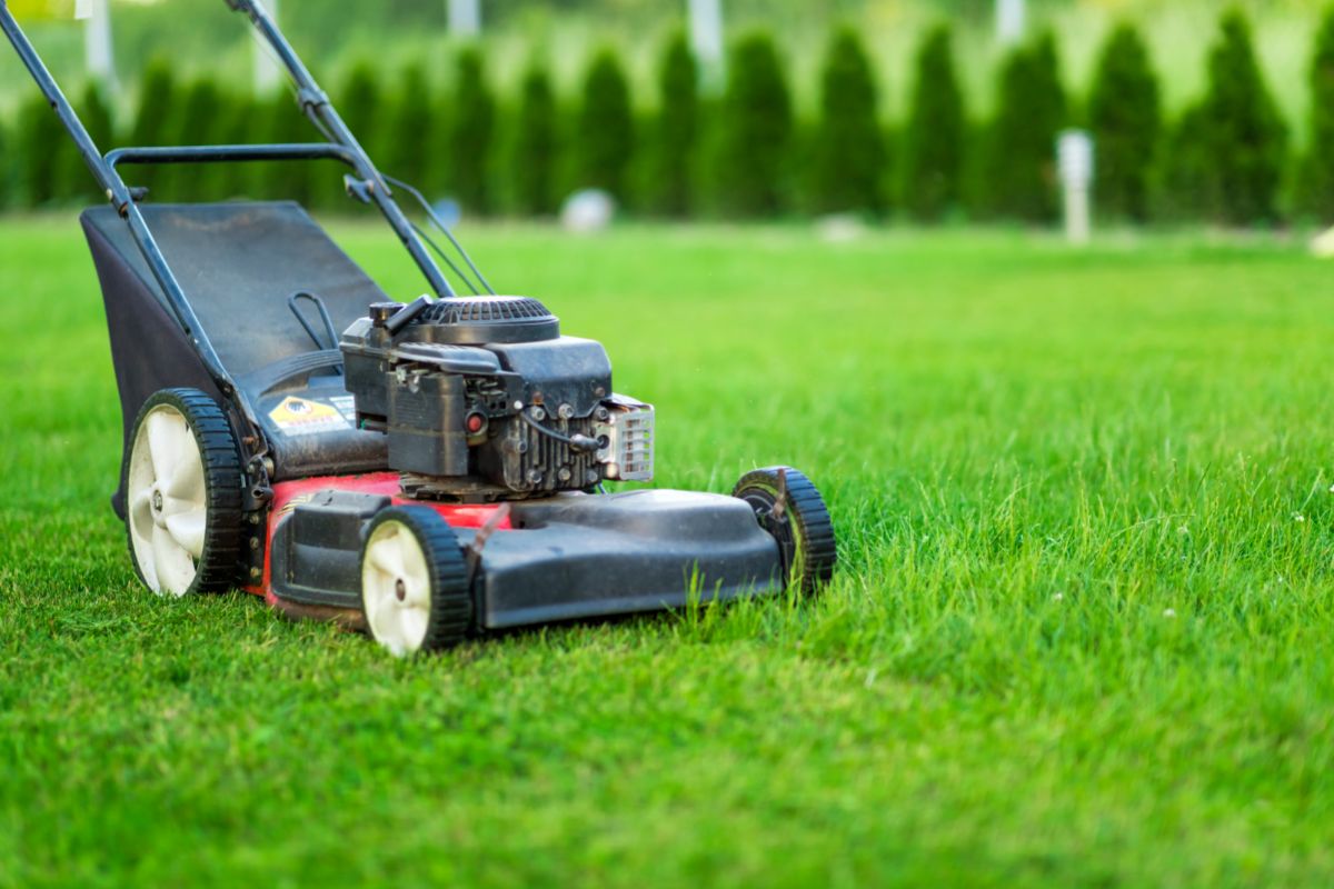 A Guide To Lawn Mower Rental