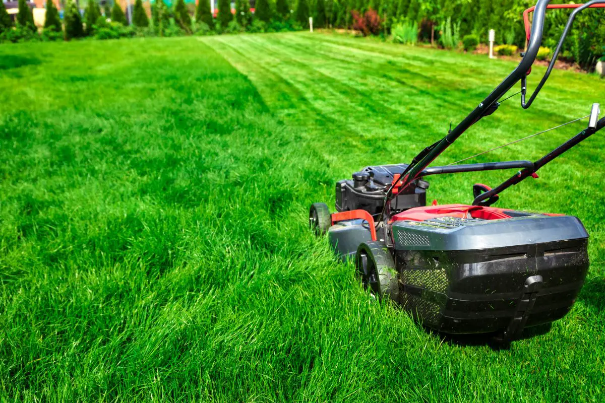 How Long Does It Take To Mow A One Acre Grass Lawn?