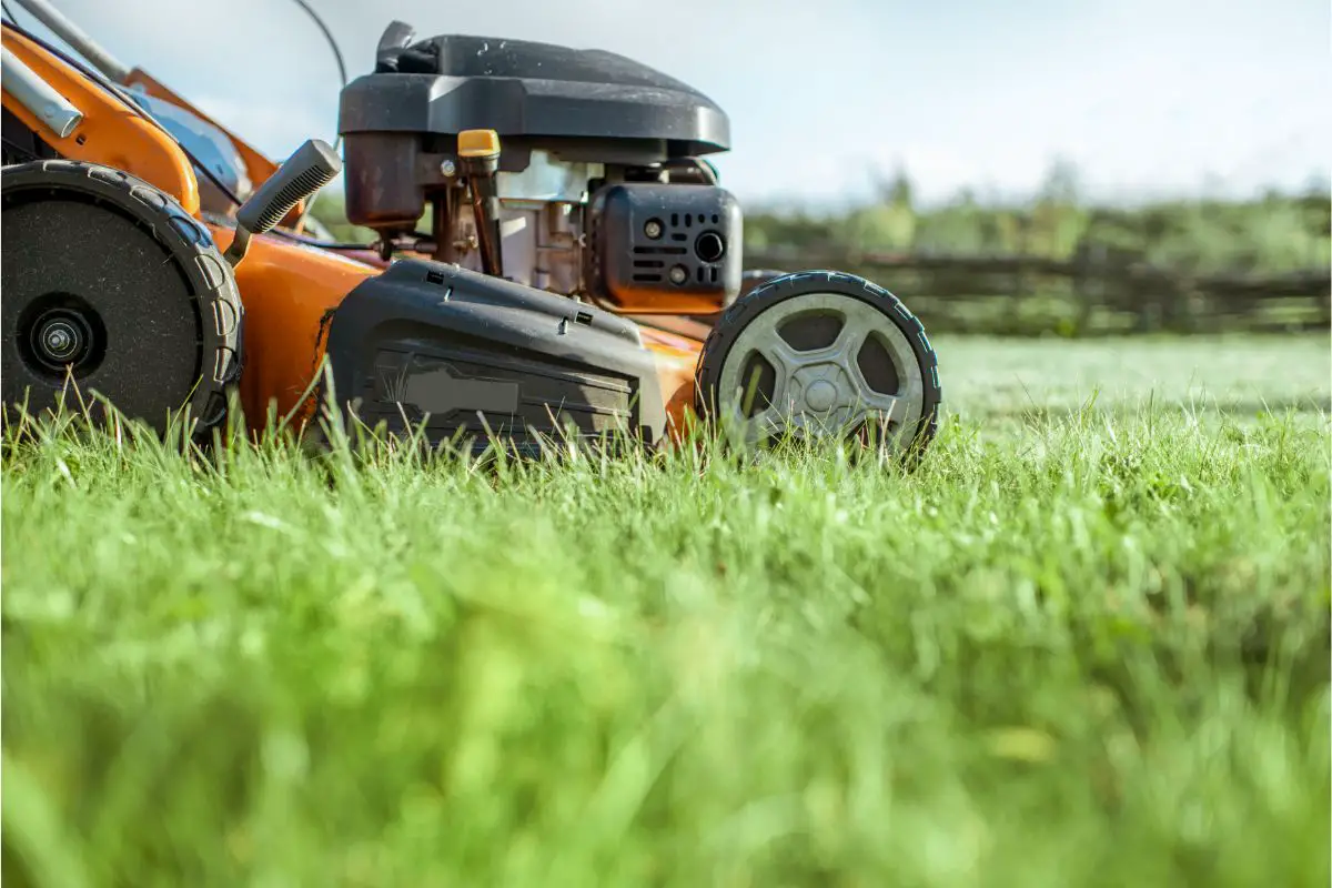 What Is E10 Fuel? And How Does It Affect My Lawn Mower?