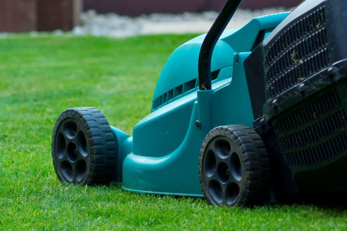 21 Best Lawn Mower Brands