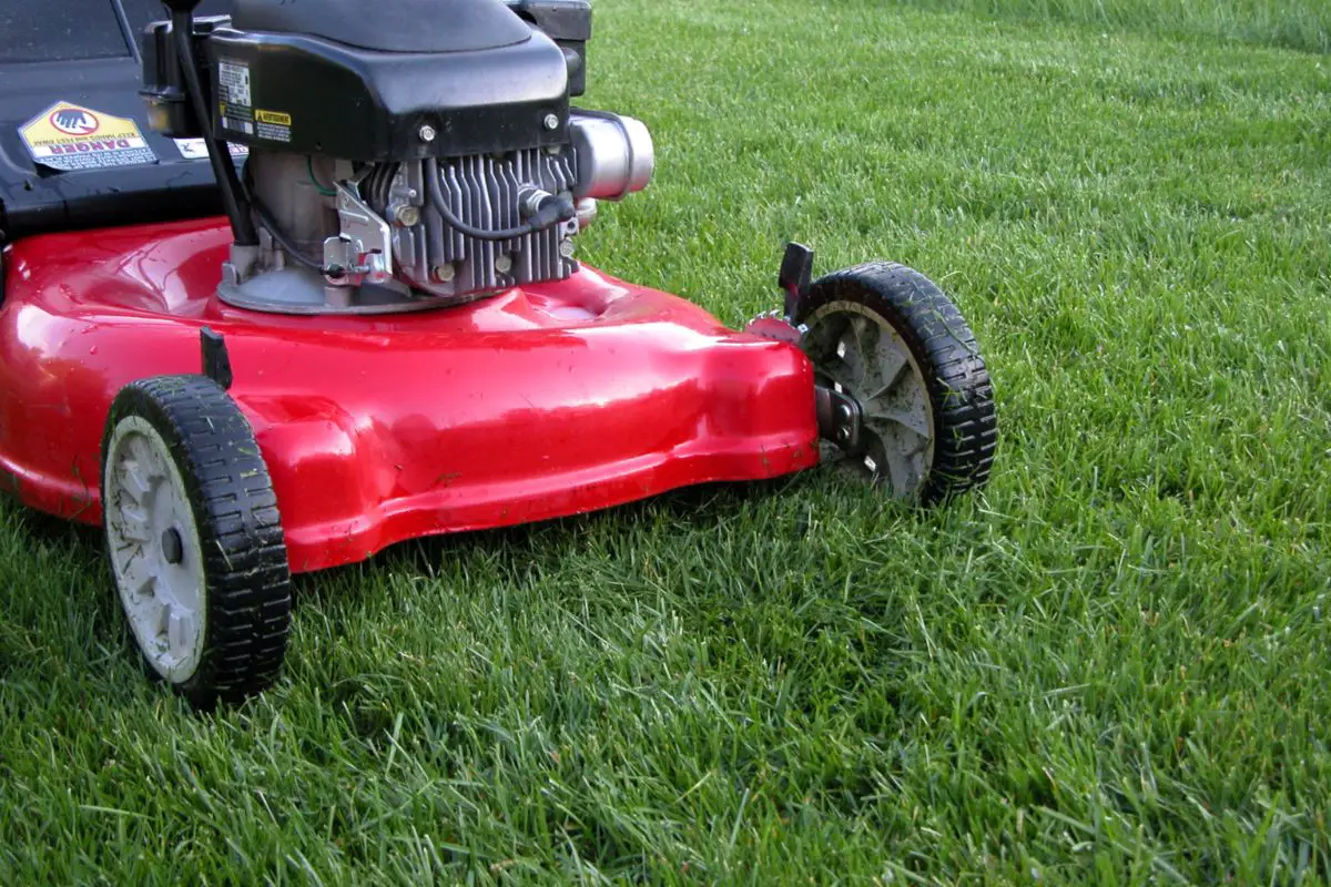 21 Best Lawn Mower Brands