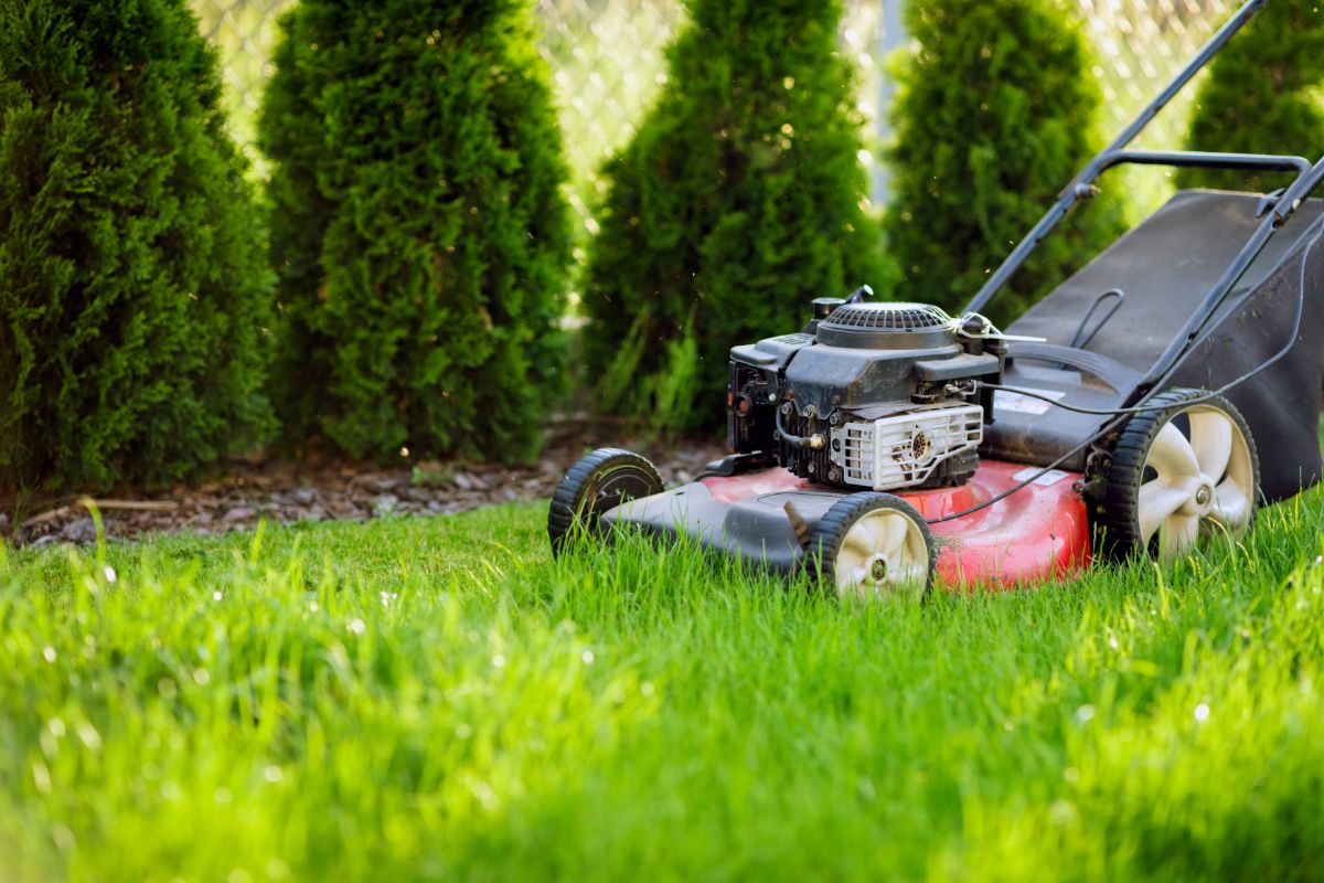 Do Lawn Mowers Take Regular Gas