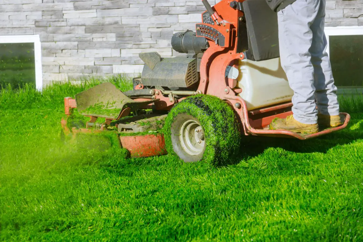How Often Should You Aerate A Lawn?