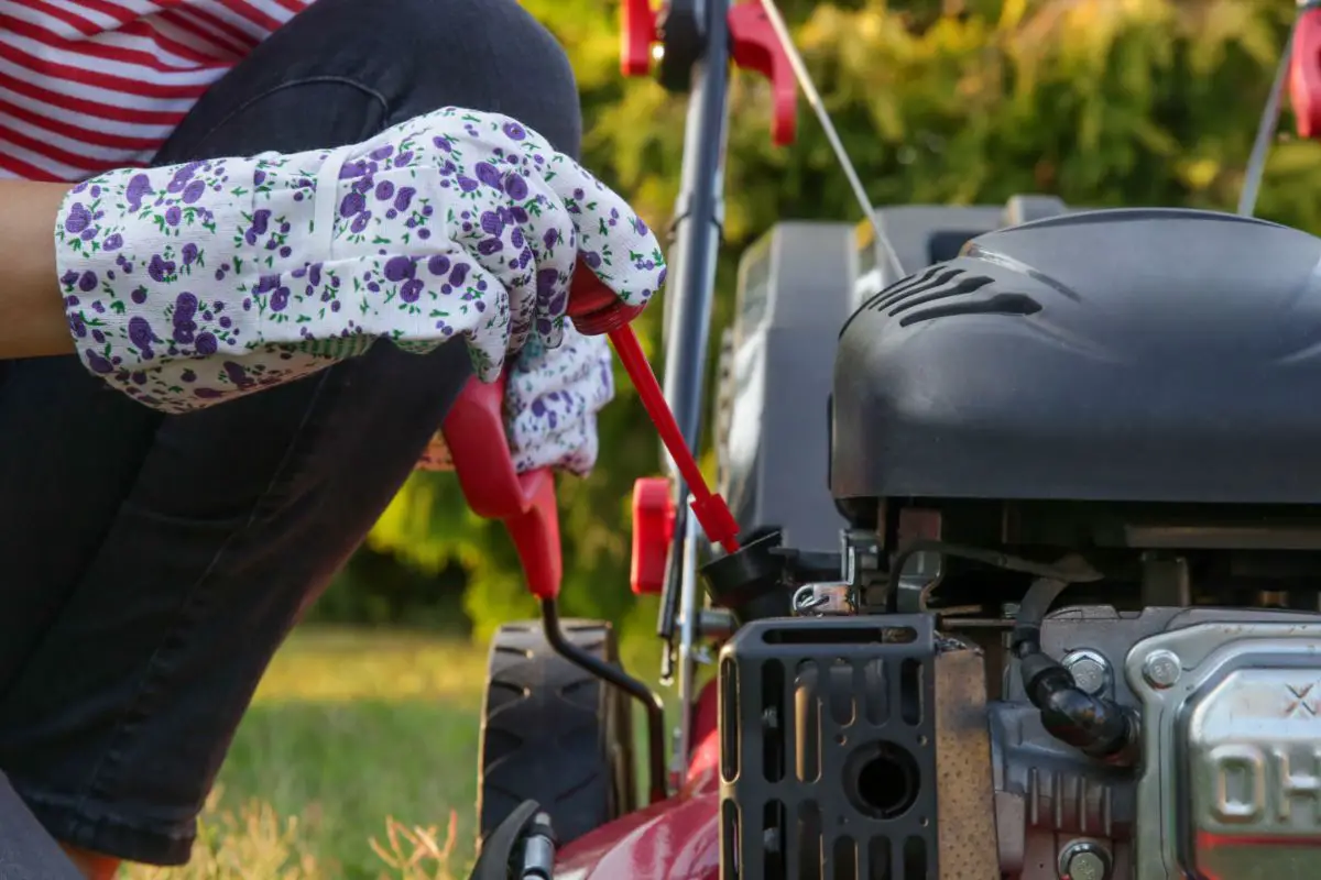 How Often Should You Check Your Lawnmower Oil?