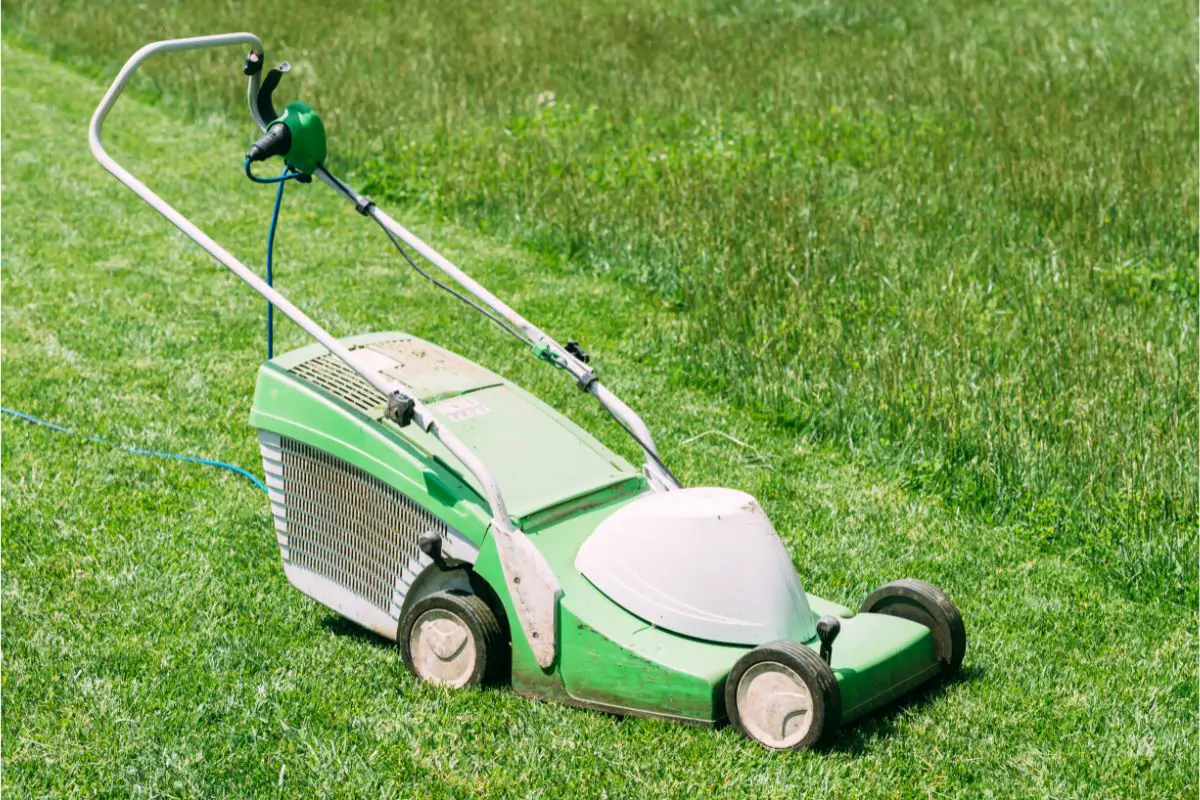 What About Electric Lawn Mowers?