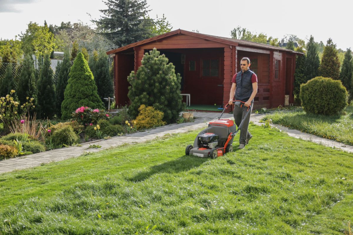What To Do After Aerating Lawn