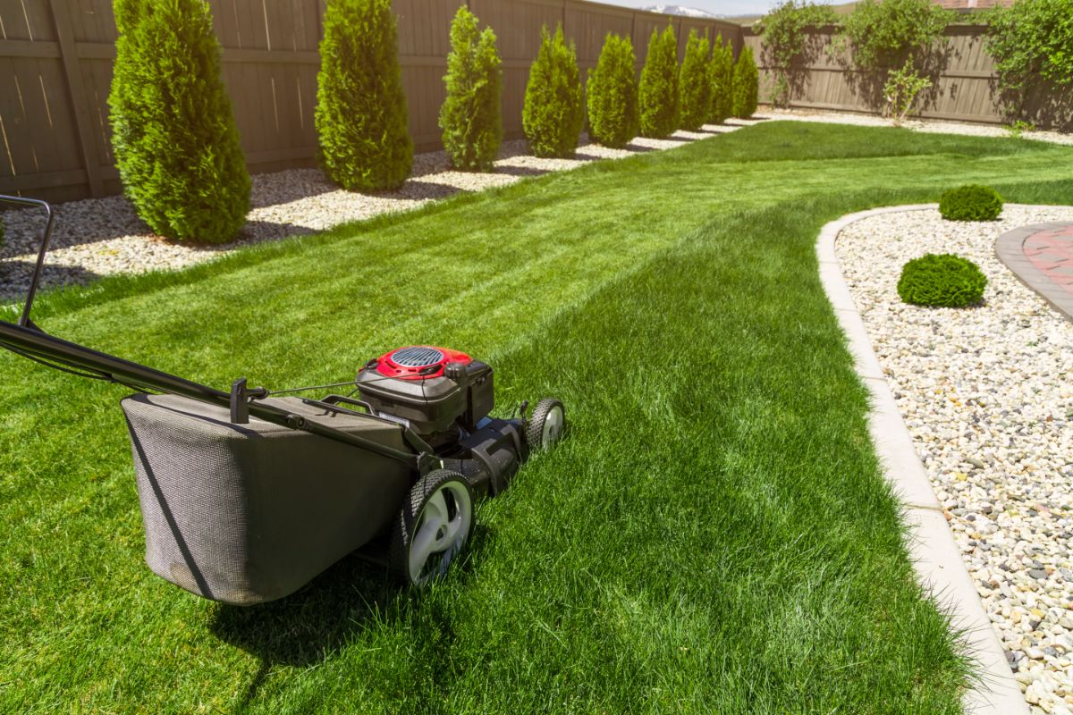 What Type Of Oil For Troy Bilt Lawn Mower?